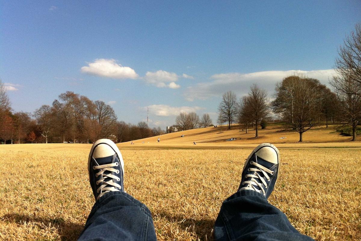 Off-Grid vs Grid-Tied Solar Systems: Which Is Right for Your British Home?