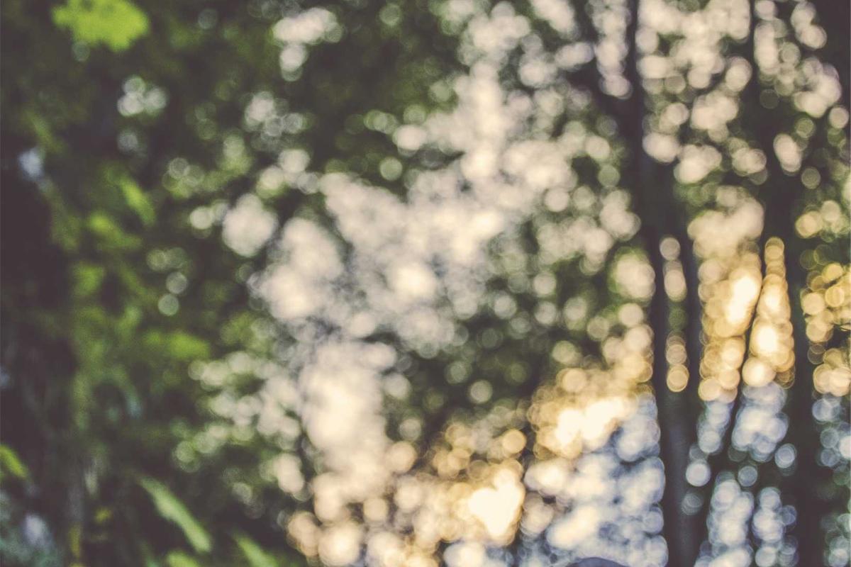 Uksolaradvice - Close-up of solar panels on a red tiled roof in Croatia, highlighting renewable energy.